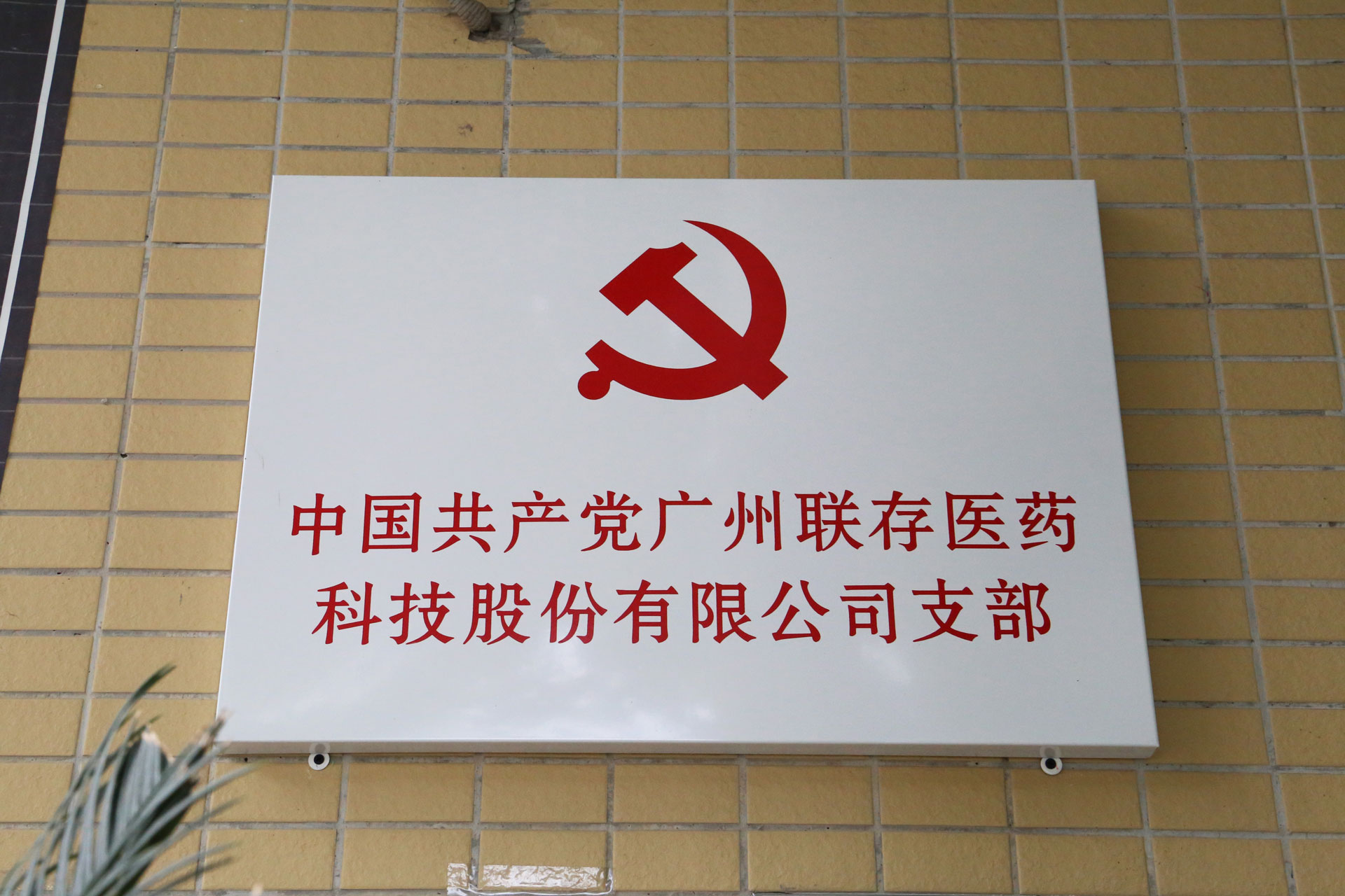 党建引领凝聚力量，旗帜高举争先锋 | 广州东升国际
医药科技股份有限公司党支部正式成立